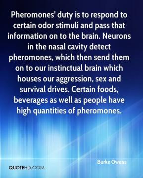 and pass that information on to the brain. Neurons in the nasal cavity ...