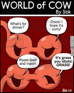 Funny Digestive System Cartoon Digestion cartoon humor: