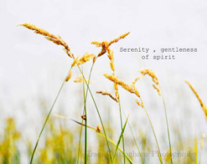 ... inches Summer, Whimsical, nature quote serenity gentleness of spirit