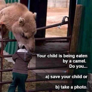Your child is being eaten by a camel do you...