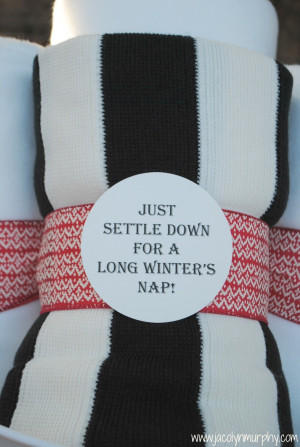 Cozy Holiday Gifts- a throw! “Just settled down for a long winter ...