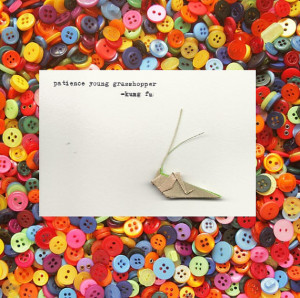 Origami Grasshopper Announcement Card with Kung Fu Quote, 3.5x5 Blank ...