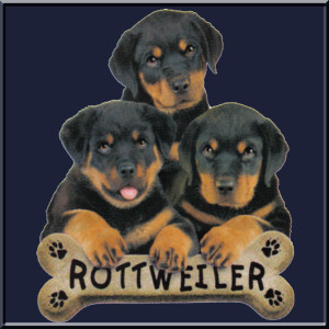 Details about Rottweiler Puppies With Bone T-Shirt Dress S,M,L,XL Dog ...