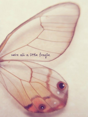 ... and looking for a break. Befriend fragile things, beginning within