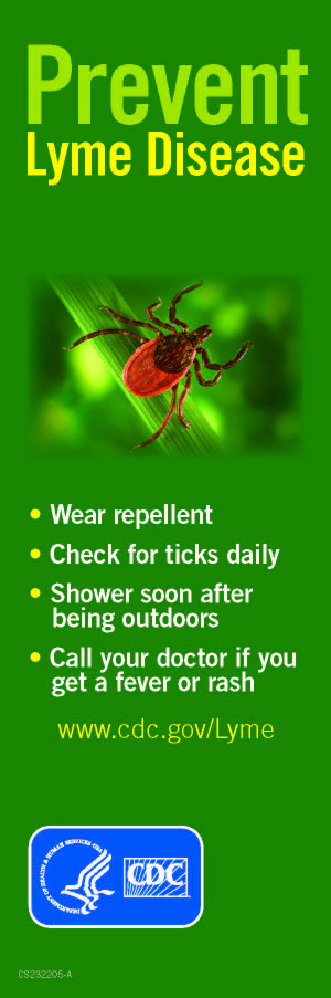 Lyme Disease Symptoms Stages