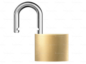 icon illustration interface isolated keep key keyhole lock log open