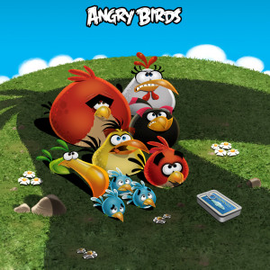 angry birds pictures