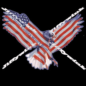 Beautiful patriotic image of the American Eagle with outstretched ...