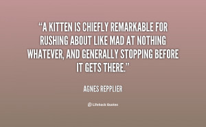 kitten is chiefly remarkable for rushing about like mad at nothing ...