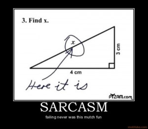 Sarcasm Failing Never Was This Mutch Fun ” ~ Sarcasm Quote