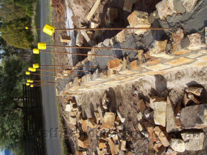 Leave a Reply Cancel reply