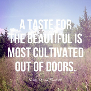 Henry David Thoreau was right. #walden #outdoors #nature #plants