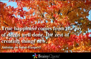 True happiness comes from the joy of deeds well done.