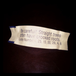 Fortune Cookies Quotes...