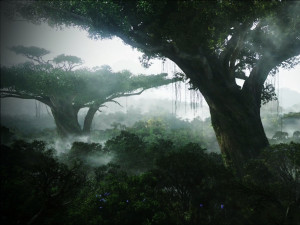 Jungle Wallpaper Nature Avatar Forest Pandora