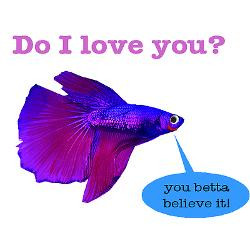 betta_fish_rectangle_decal.jpg?height=250&width=250&padToSquare=true
