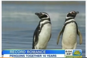 MONOGAMOUS-PENGUINS-facebook.jpg