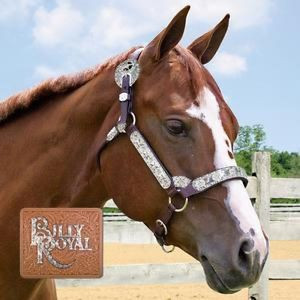 Billy Royal Show Halter Mare Horse Congress Cut Texas Star Silver 1 2