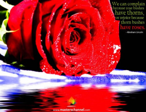 ... thorns, or rejoice because thorn bushes have roses.