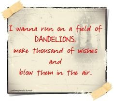 Dandelions & Other Wishes