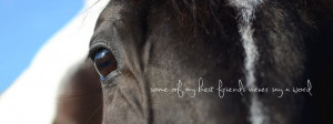 horse quotes best friend photography