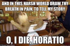 sloth lol 14 Funny Sloth Pictures Tumblr