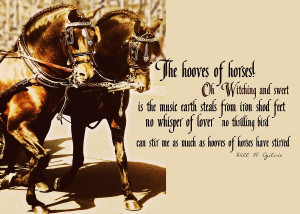 Spanish Horses Quote Photograph