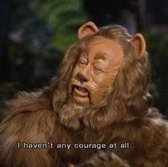 Wizard of oz coward lion, wizard of oz