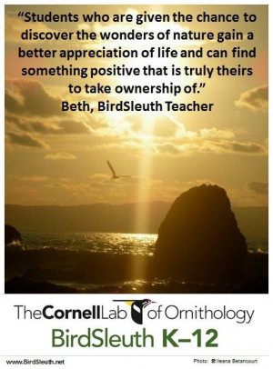 Help students discover the wonder's of nature | Teacher Quote
