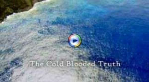 The Cold Blooded Truth - Cold blood is clearly no barrier to affection ...