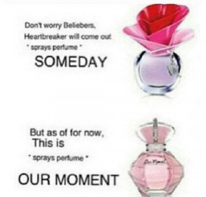 Beliebers Directioner Credited