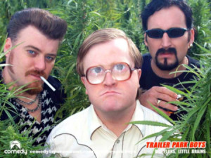 Ricky, Bubbles and Julian (left to right) in their weed field :)