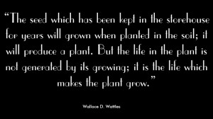 Original-Dahlia-Pillow-Quotes-Wallace-D.-Wattles-the-seed-of-life.png