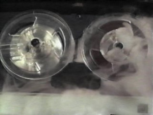 This Page Will Self-Destruct