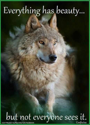 Beautiful wolf from Native American Art.