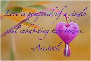 Aristotle Quote Image