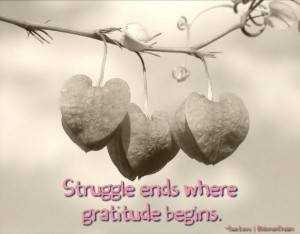 Ways to be Thankful on Such a Thankful Thursday: Struggle ends where ...
