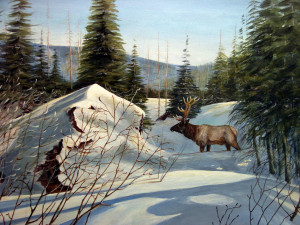 Rocky Mountain House Photo