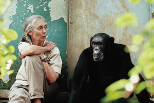 ... the Jane Goodall Institute by Seeing Disneynature’s “Chimpanzee