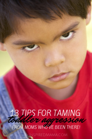 13 Tips for Taming Toddler Aggression - From the Mouths of Moms - at B ...