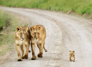 SIGN UP FOR THE NEW UBERHUMOR NEWSLETTER