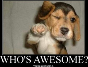 don’t care what you think of you. I think you’re awesome!