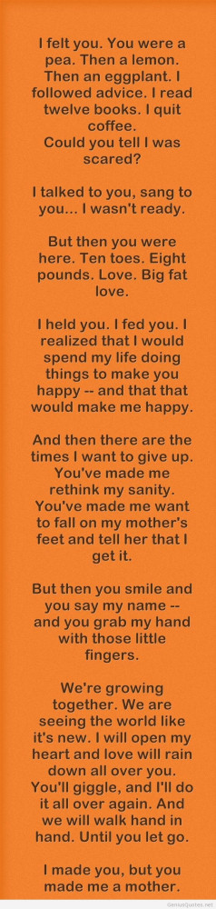 Tag Archives: felt you quote