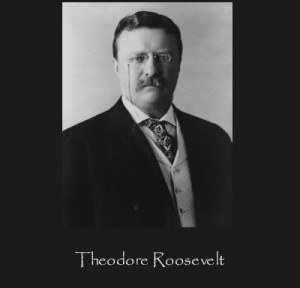 Do What You Can – Theodore Roosevelt