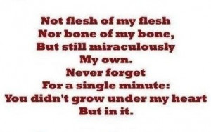 Quotes, Step Mom, Bonus Baby, Mom Quotes, Families, Perfect Quotes ...