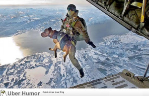 Jumping off a plane doesn’t worry them, because dogs don’t ...