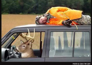 Funny-deer-hunting-pictures