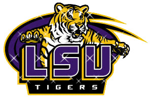 LSU Image