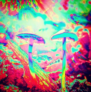 Shrooms Trip Take A With Meeee picture