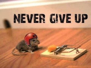 Never give up! (Via UNVs in the DRC)